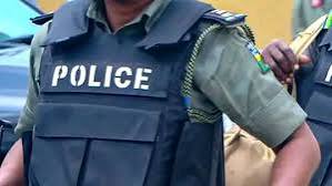 Kebbi Police Arrest Woman Over Alleged Newborn Theft