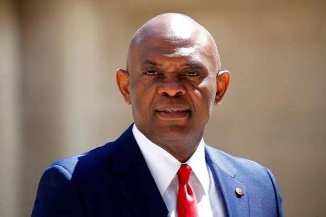 Elumelu Rebukes Lady For Calling Him by First Name: ‘I Don’t Subscribe To Oyinbo Life’