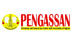 PENGASSAN Elects New President, Targets Casualisation