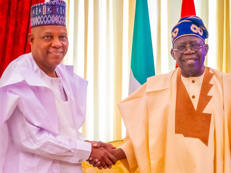 Shettima Reveals: Just Six Northern Governors Backed Tinubu In 2023