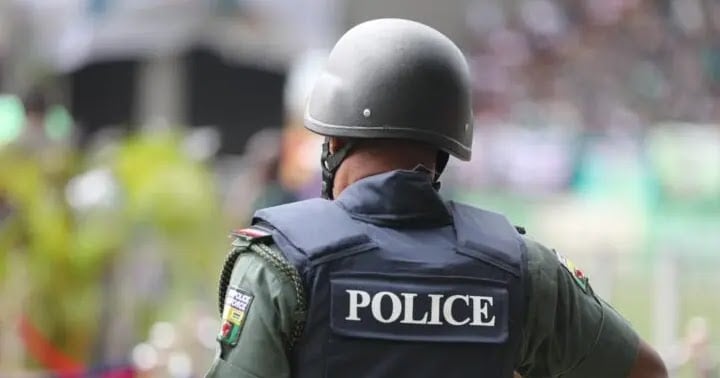 Police Save Two Abandoned Babies In Abuja, Launch Investigation