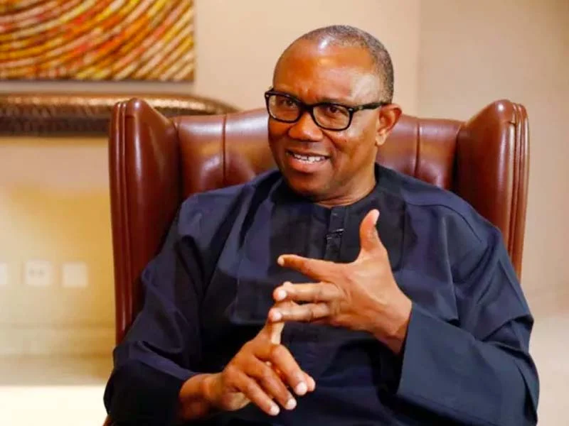 Obi’s Certificates Under Legal Spotlight As LP Chieftain Sues WAEC, UNN, NYSC