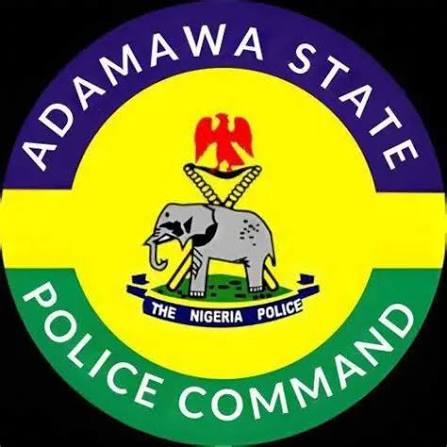 Crime Alert: Police Charge 87-Year-Old Over Attempted Murder Of Adamawa Judge