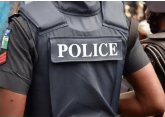 JUST IN: Police Smash Criminal Network In Katsina, Rescue 17 Kidnap Victims, Arrest 247